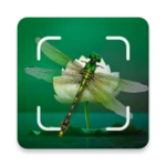 Logo of Insect Spider & Bug identifier android Application 