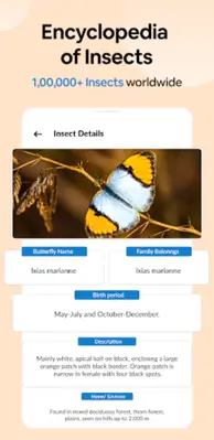 Insect Spider & Bug identifier android App screenshot 2