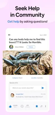 Insect Spider & Bug identifier android App screenshot 3