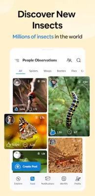 Insect Spider & Bug identifier android App screenshot 4