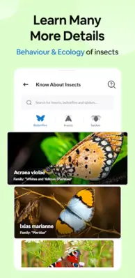 Insect Spider & Bug identifier android App screenshot 5