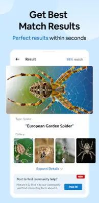 Insect Spider & Bug identifier android App screenshot 6