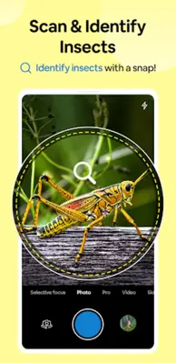 Insect Spider & Bug identifier android App screenshot 7